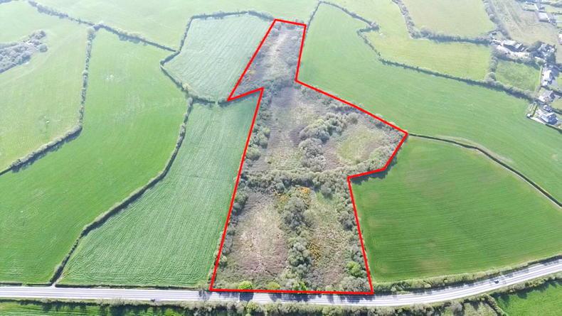 Coolgreany land triples guide price at auction in Co Wexford