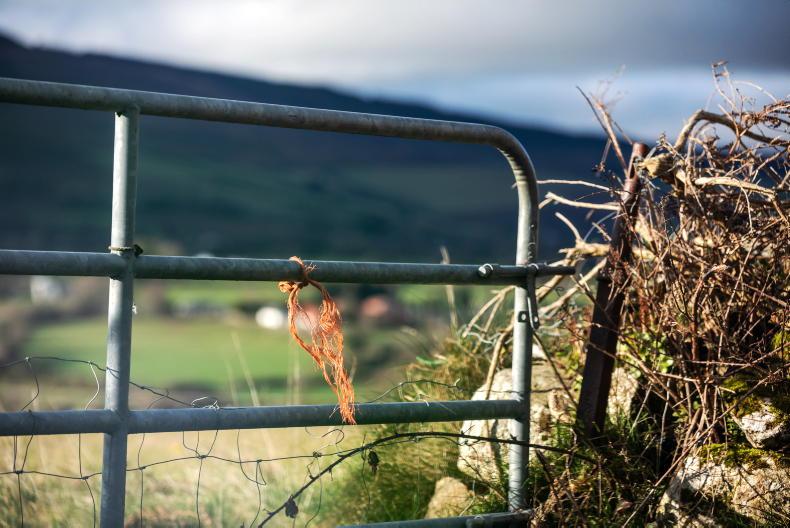 Weekend weather: unsettled with showers and breezy conditions