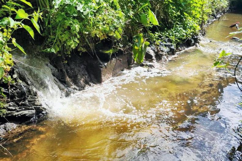 Agricultural discharge the cause of Louth fish kill – IFI