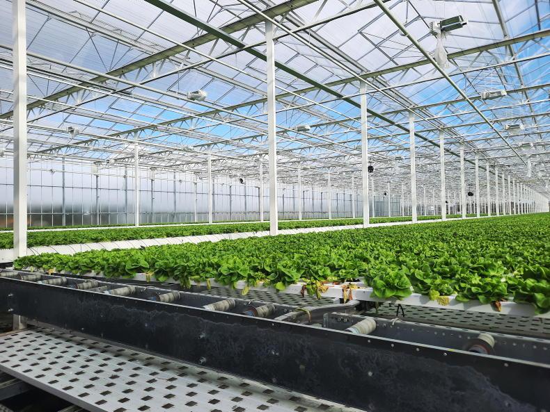 Fuel support scheme for specialist horticulture sector