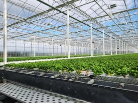 Fuel support scheme for specialist horticulture sector opens