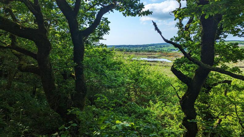 Funding certainty required for nature restoration - IFA