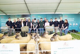Flocks of the Future competition re-opens 