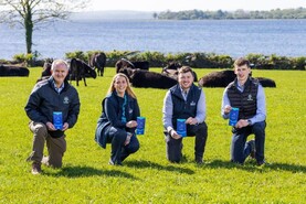 New sustainability-linked loans for beef farmers        
