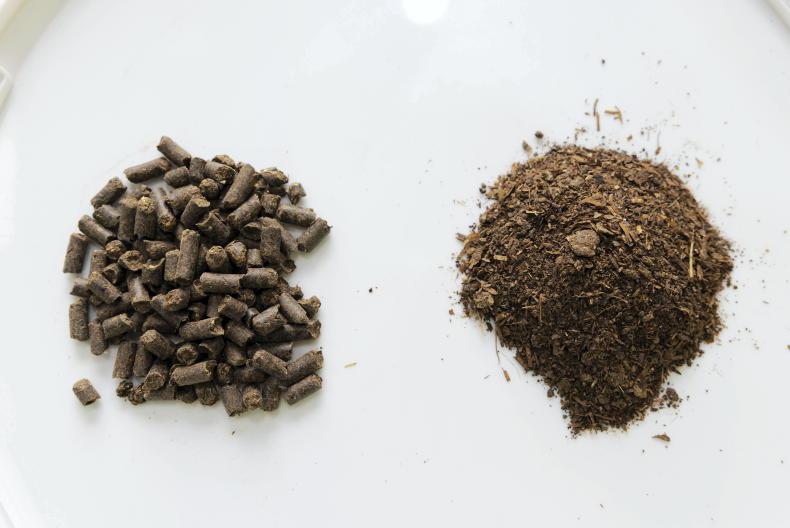 Making pellets from chicken manure at scale 