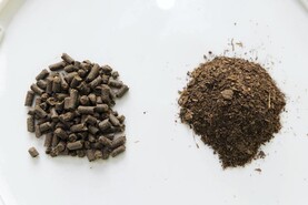 Making pellets from chicken manure at scale 