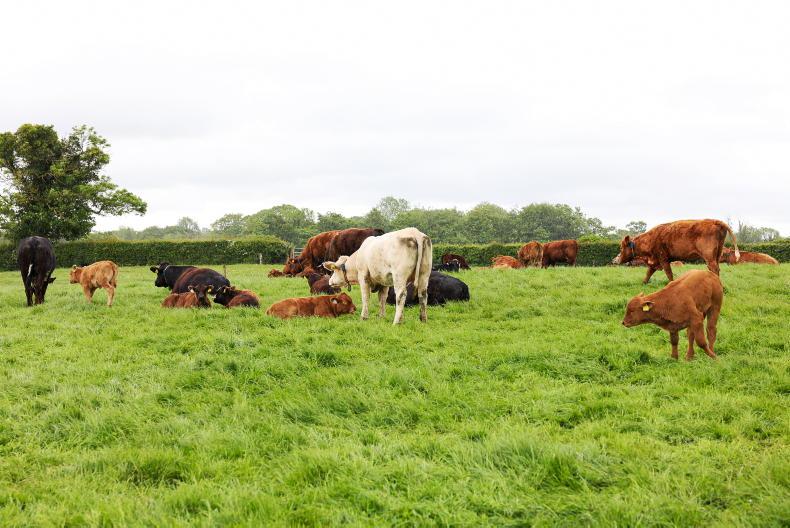 Farmgate price falling faster than factory price