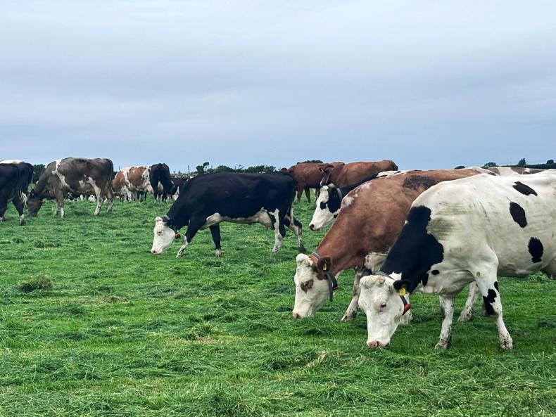 Another difficult year to manage grass
