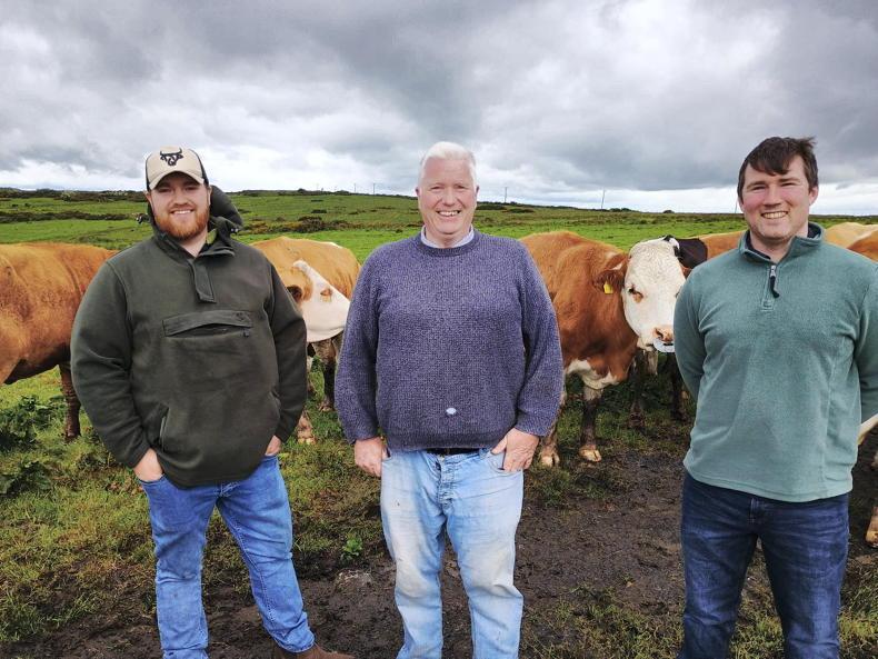 Sucklers brought back on track in the Belfast Hills