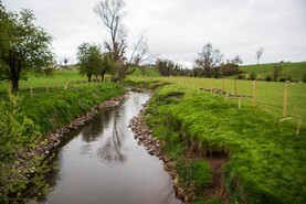 43% of farms fail water quality council inspections