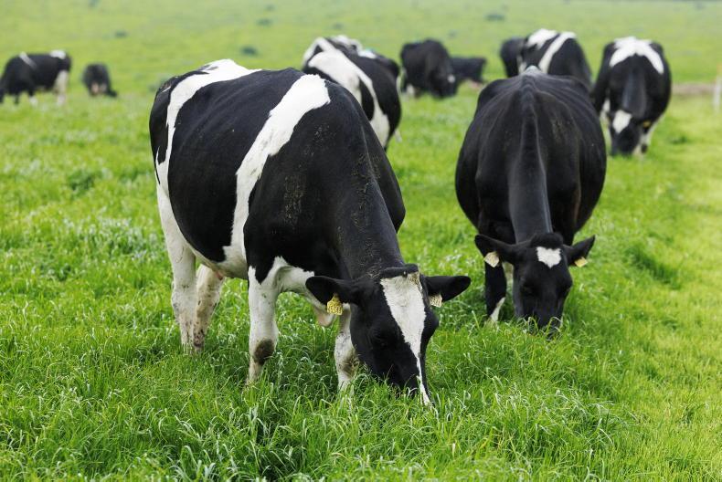 How should farms be managing grass at this time of year?