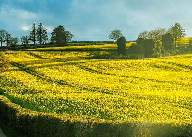 Farmers must shop local, or pay the price