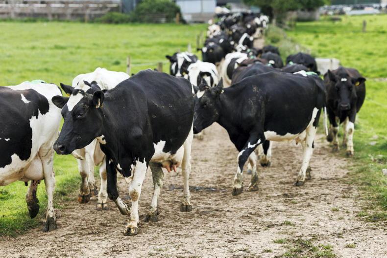 Guidelines to creating new farm roadways