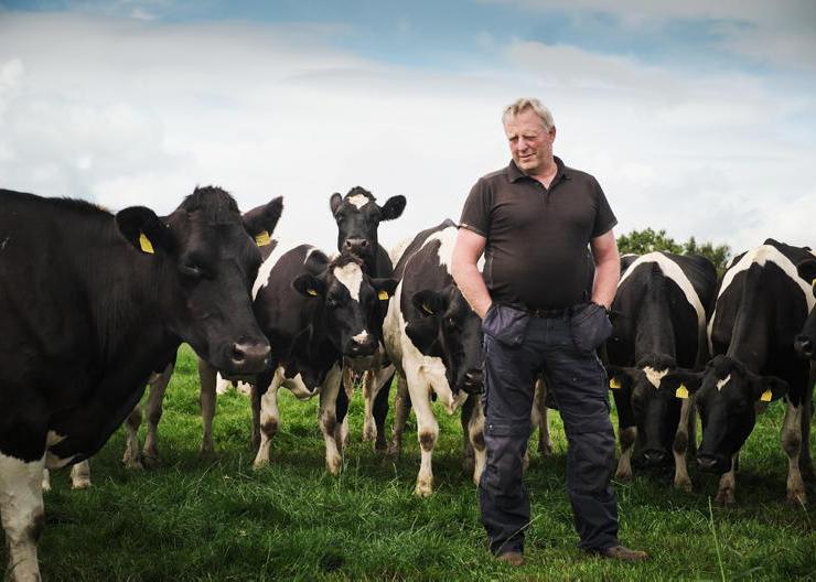 Factories accused of engineered beef price cuts