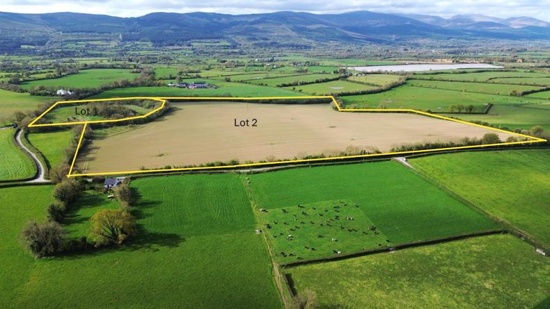 Tipp farm exceeds guide by 60% at auction