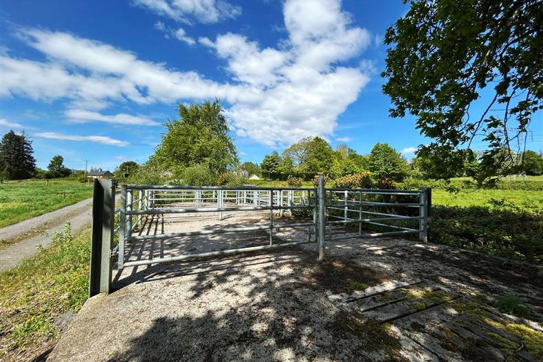Opportunity on 63.5ac holding runs deep near River Shannon