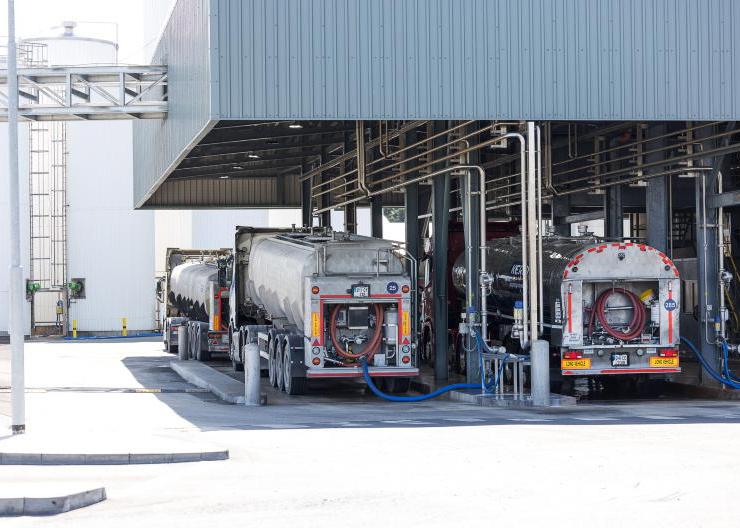 Dairy Trends: bad week for dairy markets as butter and skim falls