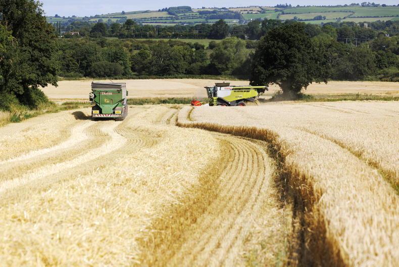 Protein trade-offs in climate policy 