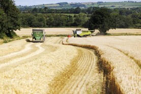 Protein trade-offs in climate policy 