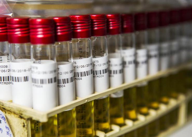 Carcase collection facility for Raphoe clears planning hurdle