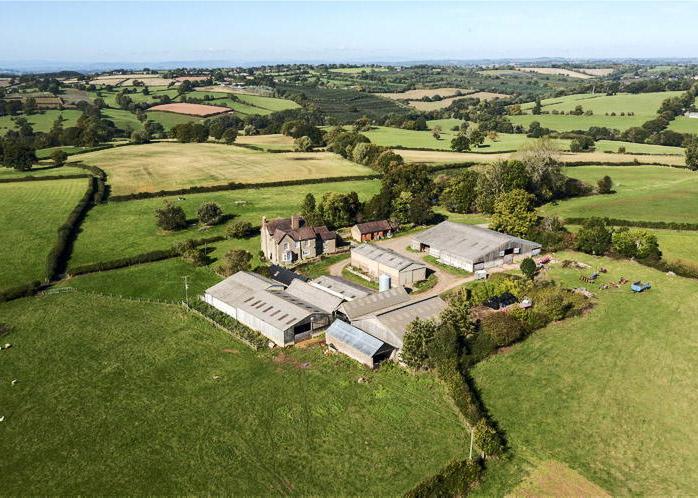 Royal land for sale                                  