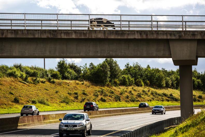 Everything we know about the €5,000 grant for old cars and jeeps