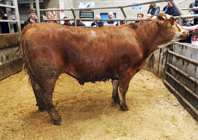 Stability returns to NI beef trade