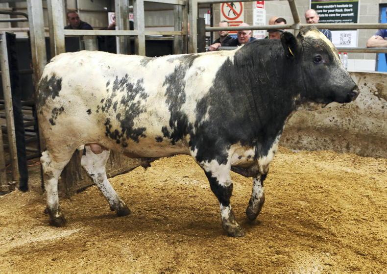 Soft demand is hitting beef prices, says LMC