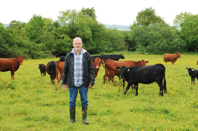 John O'Neill: ‘rare-breed organic farming has challenges and opportunity’ 