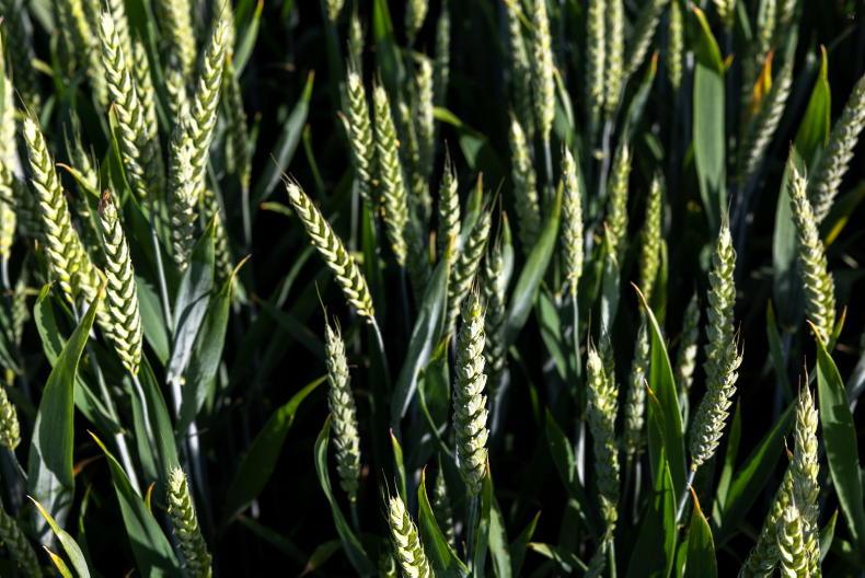 New fungicide moving closer to market
