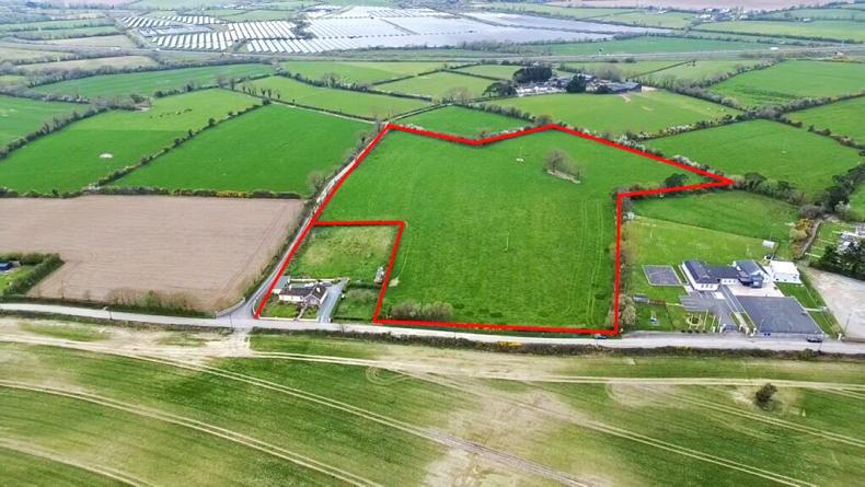Gorey grassland sells for €26,400/ac