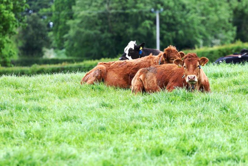 Grass growth explodes with rise in temperatures