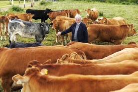 In pictures: a busy week as variety of walks and summer farm shows unfold  