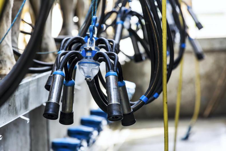 ‘Support’ – not markets – drives increased Lakeland milk price for May