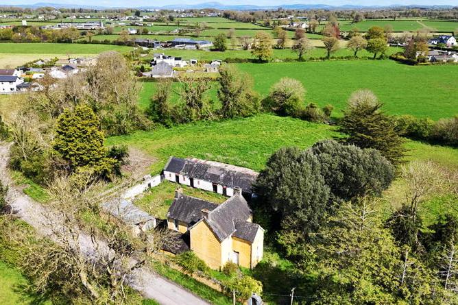 Field day for buyers as July bumper auction nears