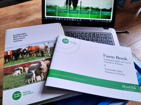 Oversight structures of Origin Green and QA should be reviewed - report