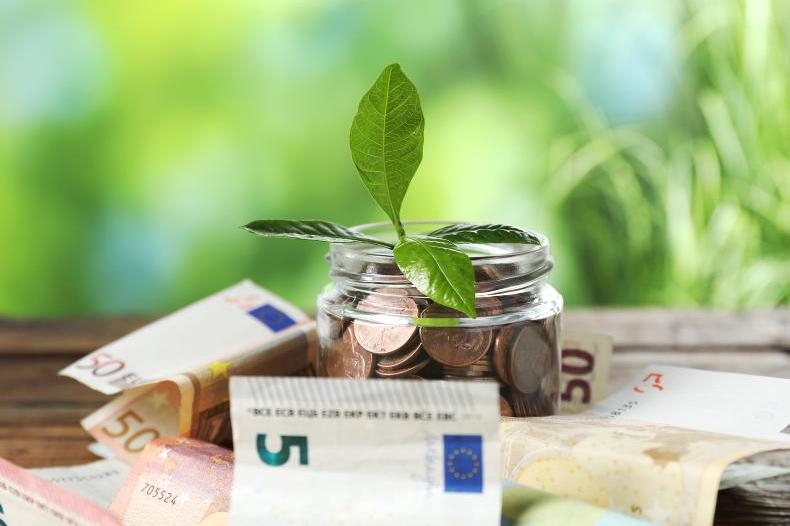 Money Mentor: where should cautious savers put their money?