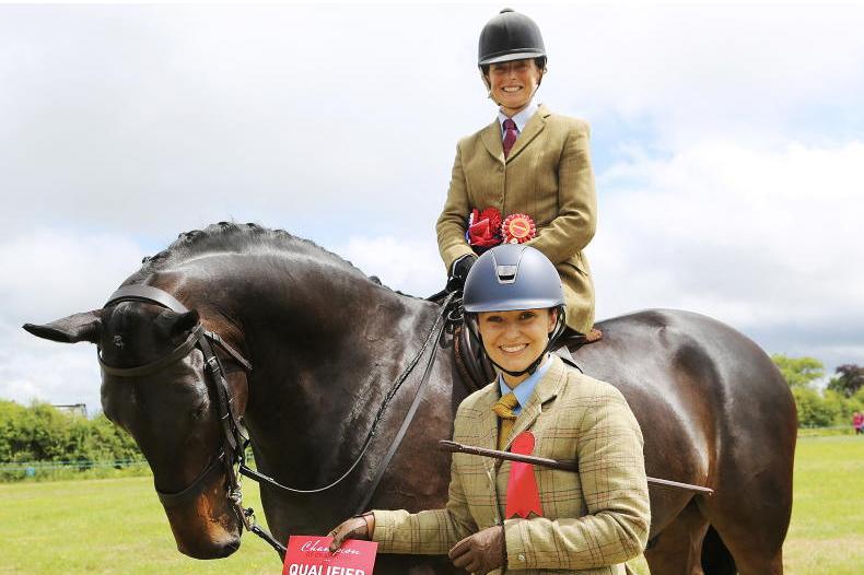 In pictures: best in show
                                                     
