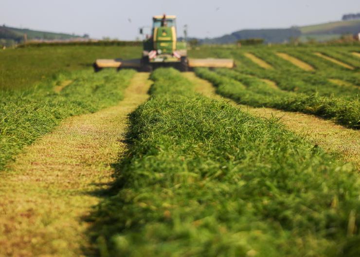Silage scented candles        