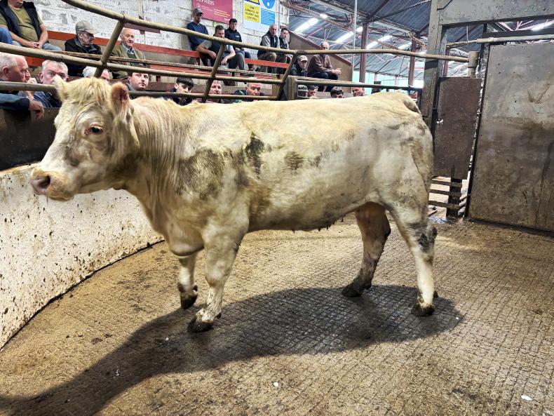 Camera at the Mart: factory agents active in Mohill