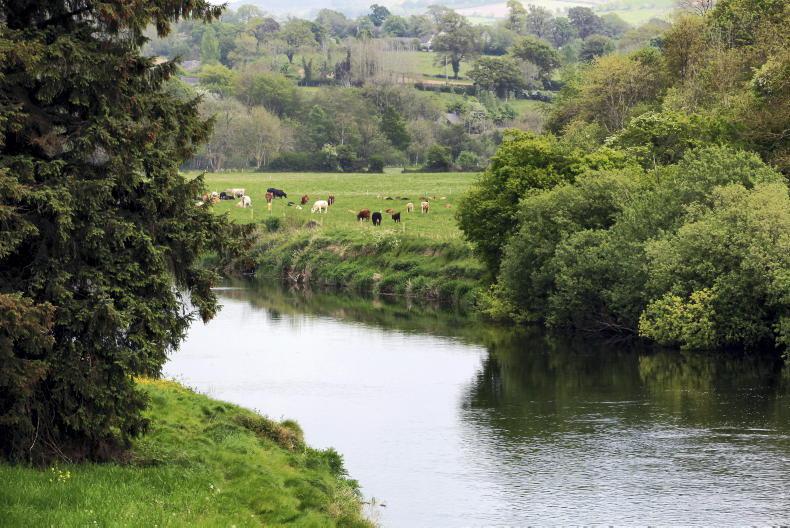 43% of Irish rivers remain too high in nitrates - EPA