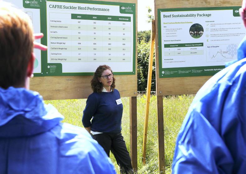 9,000 calves miss out on suckler payment