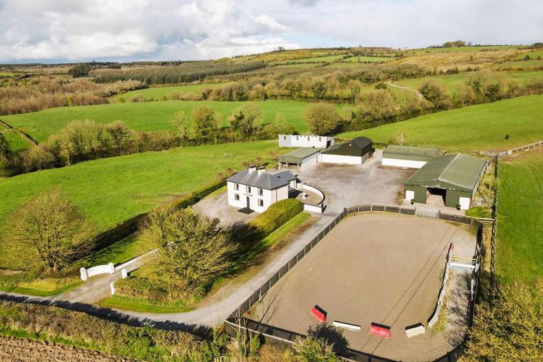 Laois stud farm presents truly untapped potential for €3m