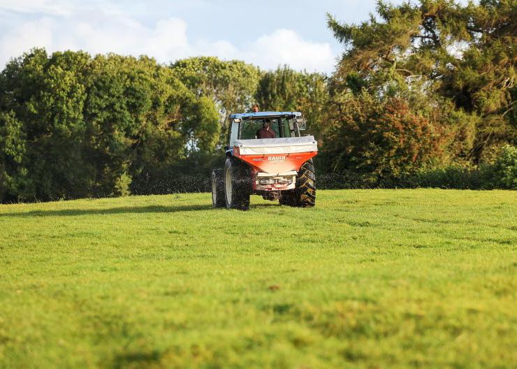 Dairy management: Grass shortages and reseeds