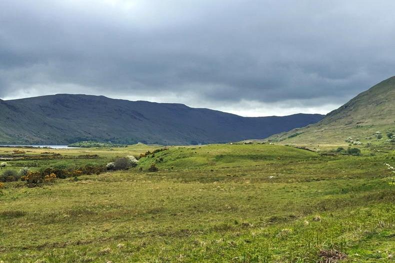 Scenic hill farm comes with organic appeal for €850,000 in Co Mayo