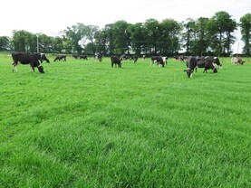 Bord Bia hosts Asian buyers in Ireland with the hope of expanding exports