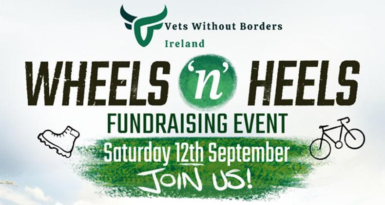 Bike or hike for Vets Without Borders