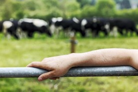 Farmers invited to take part in new animal health research