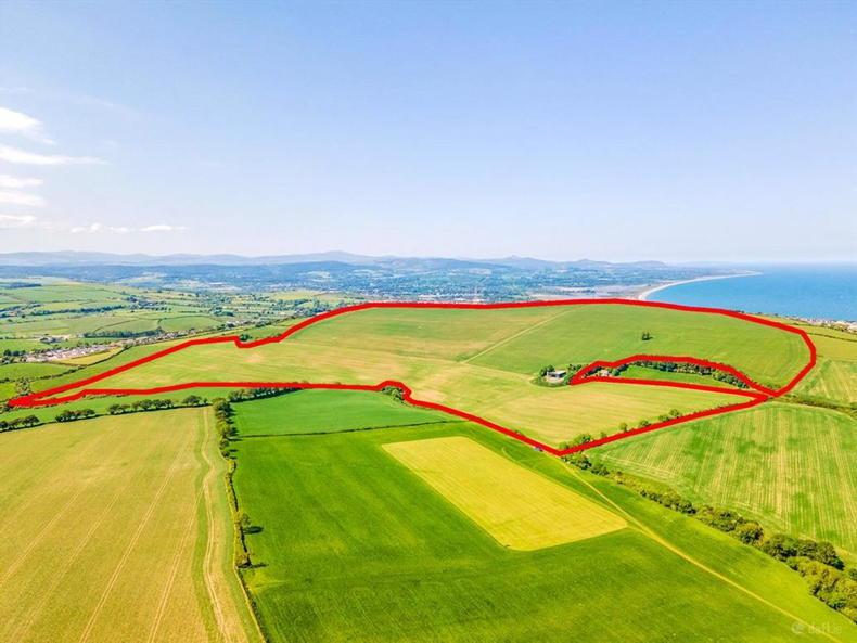 ‘Biggest field in Ireland’ goes on sale for €4m