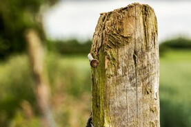 320,000ha in BISS opt not to meet active farmer check through stocking rate